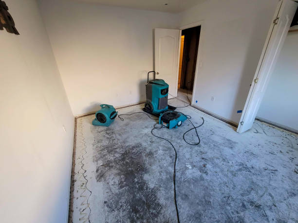 Best Water damage restoration mold remediation  in Montgomery, TX