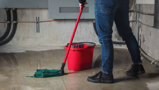 Best Flooded house restoration  in Montgomery, TX