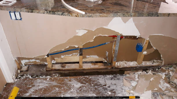 Best Basement water damage restoration  in Montgomery, TX