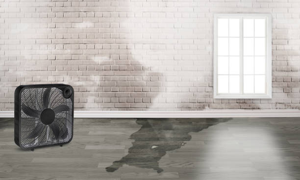 Best Emergency water damage restoration  in Montgomery, TX