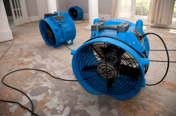 Water damage restoration process in Montgomery, TX