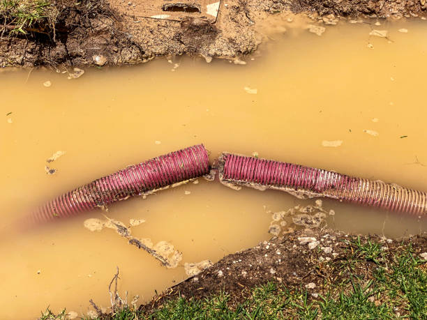 Best Local water damage restoration  in Montgomery, TX