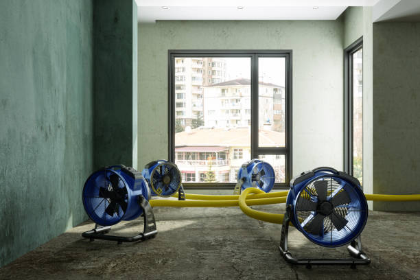 Best Sewage cleanup and water damage restoration  in Montgomery, TX